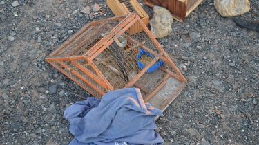 Retomaron los operativos de control de flora y fauna en San Juan