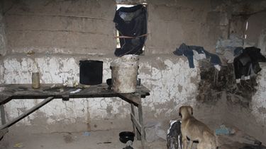 Toro, sobre los niños enfermos de sarna: Hay 3000 familias en San Juan que quieren chicos