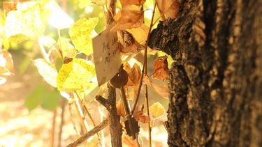 El pueblo de las llaves: un tesoro escondido en el medio de la Cordillera