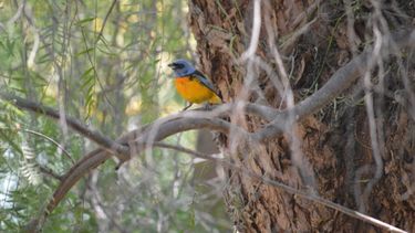 Mirá qué lugar de San Juan recomienda visitar un importante medio nacional