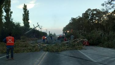 ¡Atención!: la ruta 40 está cortada a la altura de Carpintería por caída de postes ¡Atención!: la ruta 40 está cortada a la altura de Carpintería por caída de postes