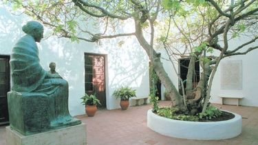 Distinguirán a la mejor huerta familiar de cada uno de los 19 departamentos