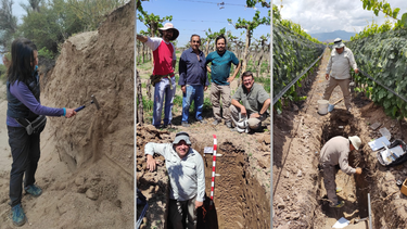 Los sanjuaninos que hurgan la tierra para mejorar los cultivos del país