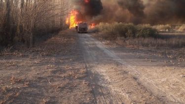 Lo que dejó el Viento Zonda en San Juan: daños en viviendas, intoxicados y la labor de más de 100 bomberos