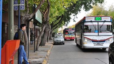 Feriado por el Día del Maestro: qué funciona y qué no