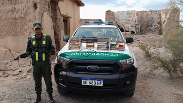 Importante operativo contra la caza y pesca ilegal dejó 20 infracciones y aves rescatadas