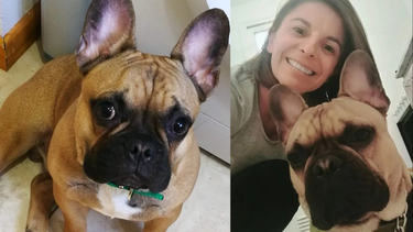 Murió el perrito de Melina Romero