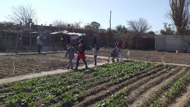 Recuperaron un baldío en una villa de Chimbas y lo transformaron en una huerta comunitaria
