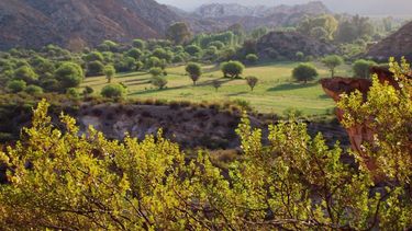 El cine móvil se traslada al área protegida La Ciénaga