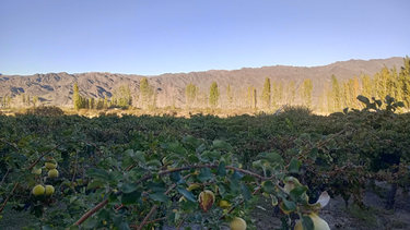 En Puchuzun la tranquilidad campa a sus anchas y la naturaleza se impone con su belleza.
