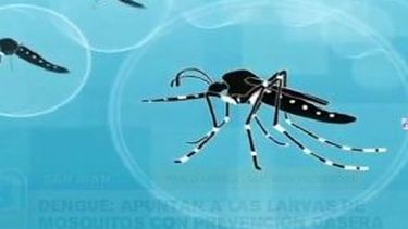 ¿Qué medidas toma San Juan ante el dengue?