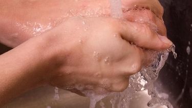 Confirman la presencia de escherichia coli en las aguas del Canal QuirogaHubo un brote de escherichia coli en el agua de Zonda