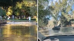 Montaje de dos capturas de video en los que se observa la inundación en la zona del Jardín de los Poetas.