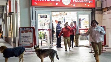 El sismo fue en Chile de 8.3 grados y hubo al menos 2 réplicas fuertes