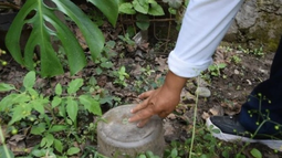 Ante la lluvias y las altas temperaturas, el Ministerio de Salud pidió reforzar las medidas de prevención contra el dengue.