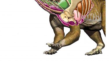 Ingentia Prima, el dinosaurio gigante, en los diarios más importantes del mundo