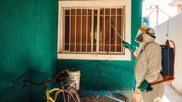 Las actividades que se desarrollarán en Rawson para prevenir la proliferación del dengue.