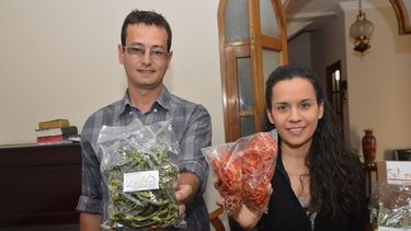 El deshidratador solar diseñado y construido en San Juan