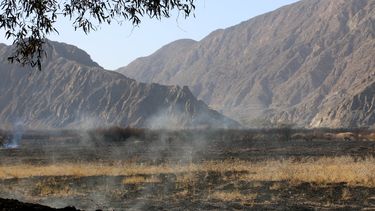 Para evitar nuevos incendios, se realizan trabajos en el Parque Sarmiento