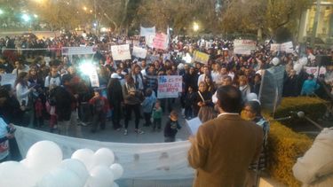 Marcharon contra el aborto y entregaron un petitorio a Diputados