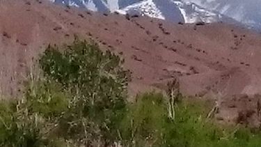 En Calingasta el viento Zonda ya se hizo presente