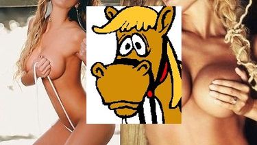 Tristeza nao tem fin: las chicas se pincharon