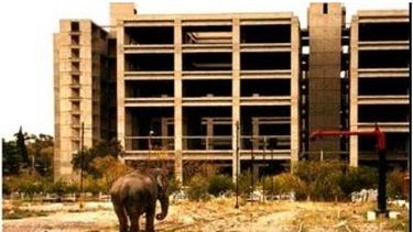 La historia de la imagen del elefante frente al Centro Cívico