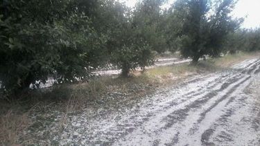 Alerta por granizo en Mendoza y posibles lluvias para San Juan