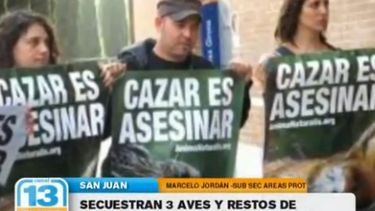 Secuestraron aves y restos de animales en un operativo contra la caza