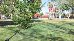 Repararon y mejoraron el riego por aspersión en paseos de Rawson