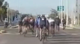Filmaron a un grupo de ciclistas ocupando varios carriles en Marquesado: Los vamos a... Filmaron a un grupo de ciclistas ocupando varios carriles en Marquesado: Los vamos a...