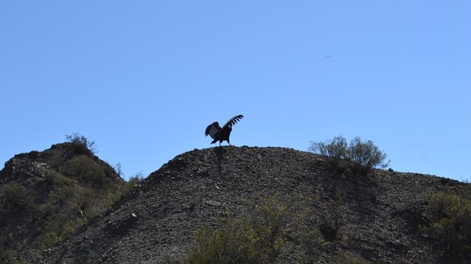 Ovnimanía: sale a la luz una foto inédita con un avistamiento en el cielo de Ullum