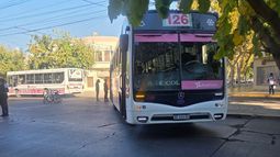 El estado de la mujer atropellada en el centro es muy grave El estado de la mujer atropellada en el centro es muy grave