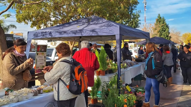 Pocito vuelve a poner en marcha su Feria Agroproductiva.
