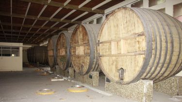 Patrimonio Cultural: Duc de Saint Remy tiene proyecto de ley