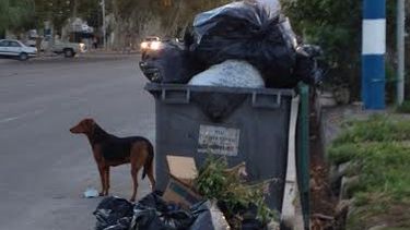 Recrudece el conflicto por los basureros en un barrio top