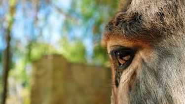 Quieren que vuelva un punto de encuentro muy buscado por los sanjuaninos