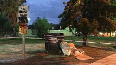 Revuelo en un barrio de Rivadavia por gran cantidad de animales muertos en una plaza