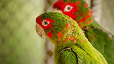 Mirá las fotos ganadoras del concurso “Otras Miradas”