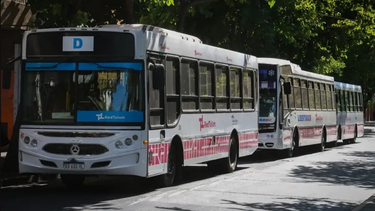 Por una competencia deportiva cambiará el recorrido de distintas líneas de colectivos de la Red Tulum este domingo.