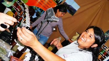 Junto a Ale Ceberio los artesanos vivirán su fiesta en Valle Fértil