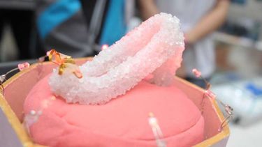 Son dos las escuelas que ganaron oro en el Concurso Internacional de Cristalografía