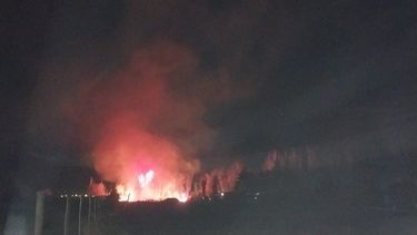 Impactante incendio de palmeras en la zona de El Medanito