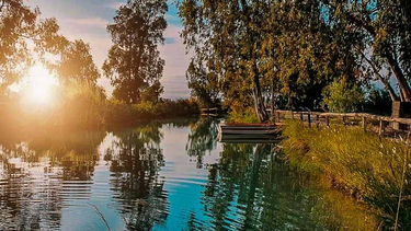 Sorpresa por el primer avistamiento de un ave de la especie cuervillo cara pelada en el Parque de la Biodiversidad.