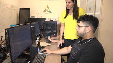 Crearon en San Juan una sofisticada app para proteger a víctimas de violencia de género.