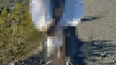 ¿Maldad o brujería? Revuelo en Jáchal por la aparición de un búho crucificado