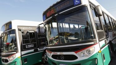 ¡Atención!: prorrogan la vigencia de la RTO por 120 días para transporte de pasajeros y carga