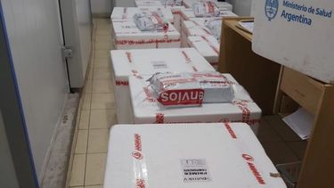 Llegaron a San Juan las nuevas dosis de Sputnik V y se esperan más esta semana