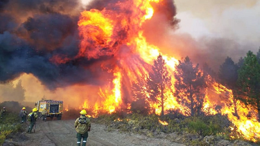 un incendio se extendio en el parque nacional los alerces por los vientos y hubo evacuados un incendio se extendio en el parque nacional los alerces por los vientos y hubo evacuados