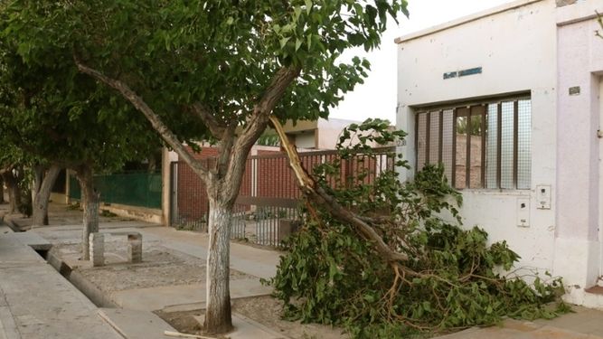 Más de 500 casas sin luz por el Zonda y el viento demoró las reparaciones